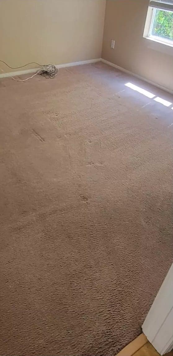 La même pièce après extraction : fibres propres et redressées