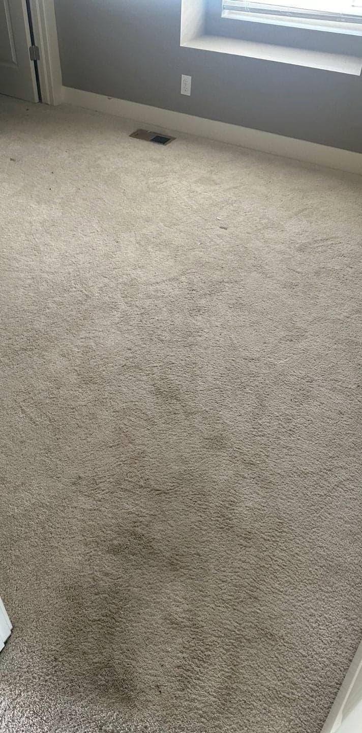 Moquette de chambre grisée par le passage, auréoles diffuses