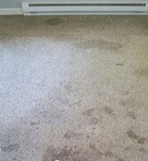 Taches incrustées sur une moquette claire, le long d'un radiateur